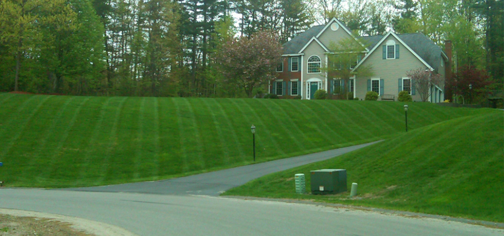 Lawn Maintenance