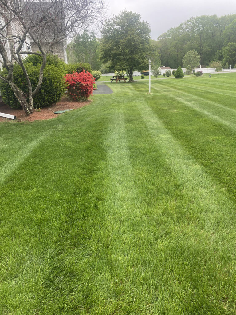 Spring cleanup and lawn mowing in Windham, NH by Sweeet Landscaping, highlighting a neatly trimmed lawn with a person using a mower near a house, bushes, and a paved path.