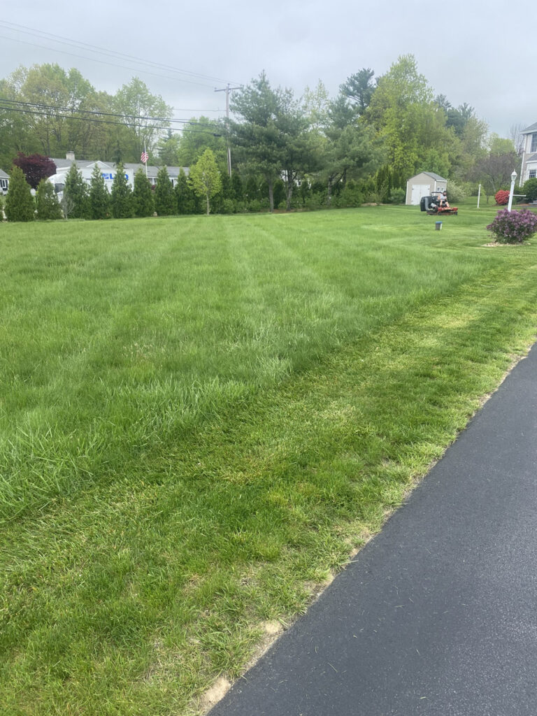 Spring cleanup and lawn mowing in Windham, NH by Sweeet Landscaping, displaying a lush green lawn with a picnic table under a tree and a person mowing in the background