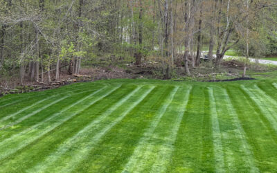 Lawn Maintenance and Spring Clean Up in Londonderry, NH.