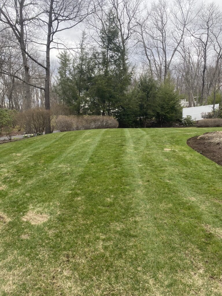 The spring cleanups are in full bloom in Londonderry, NH!