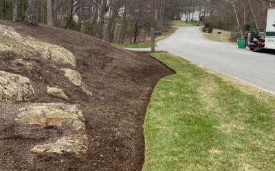Lawn Maintenance in Londonderry, NH.