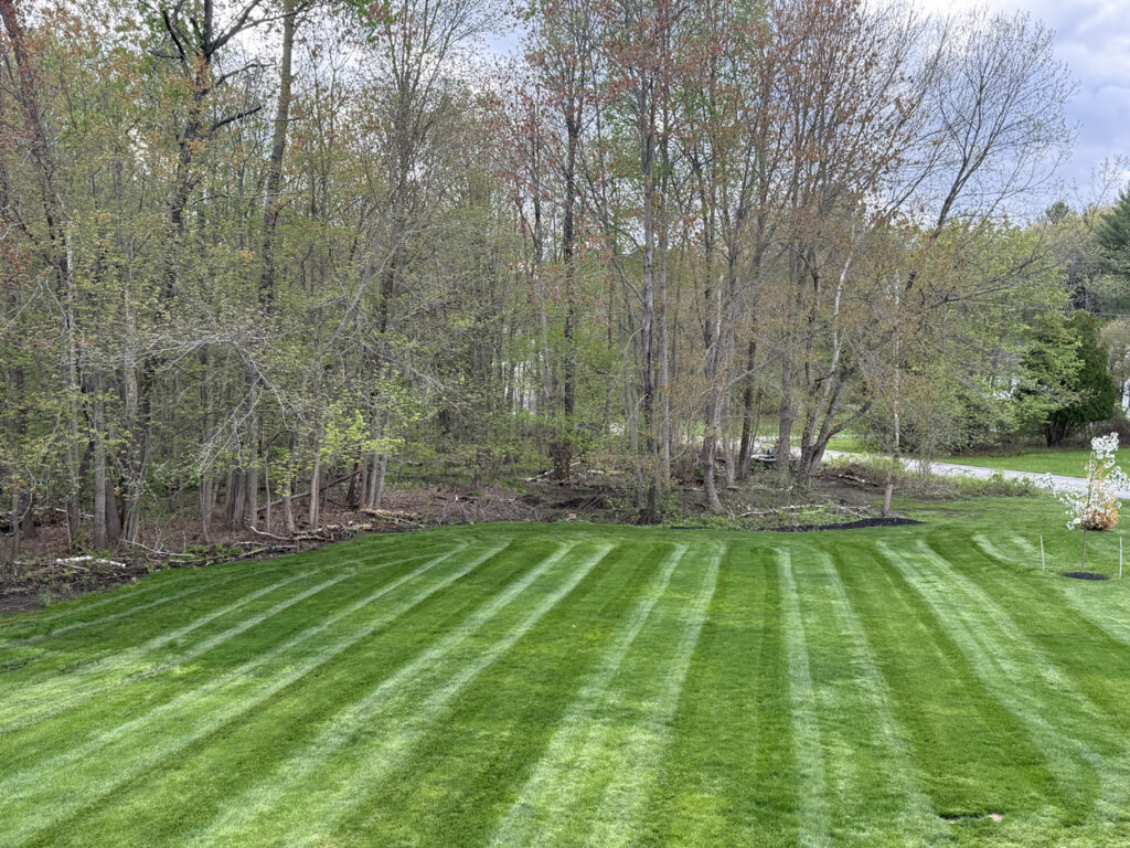 Spring in full swing a freshly cut- and fertilized backyard in Londonderry, NH