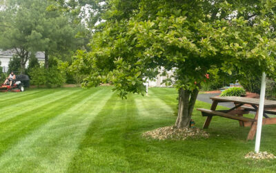 Spring Cleanup and Maintenance in Windham NH.