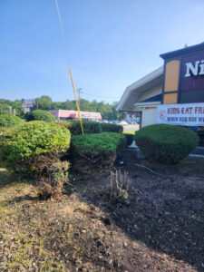 Landscape Services in Salem, NH.
