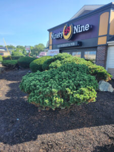 Landscape Services in Salem, NH.