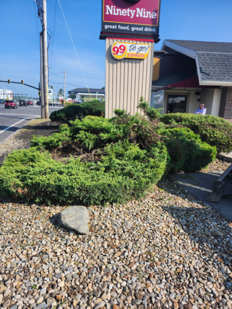 Landscape Services in Salem, NH.