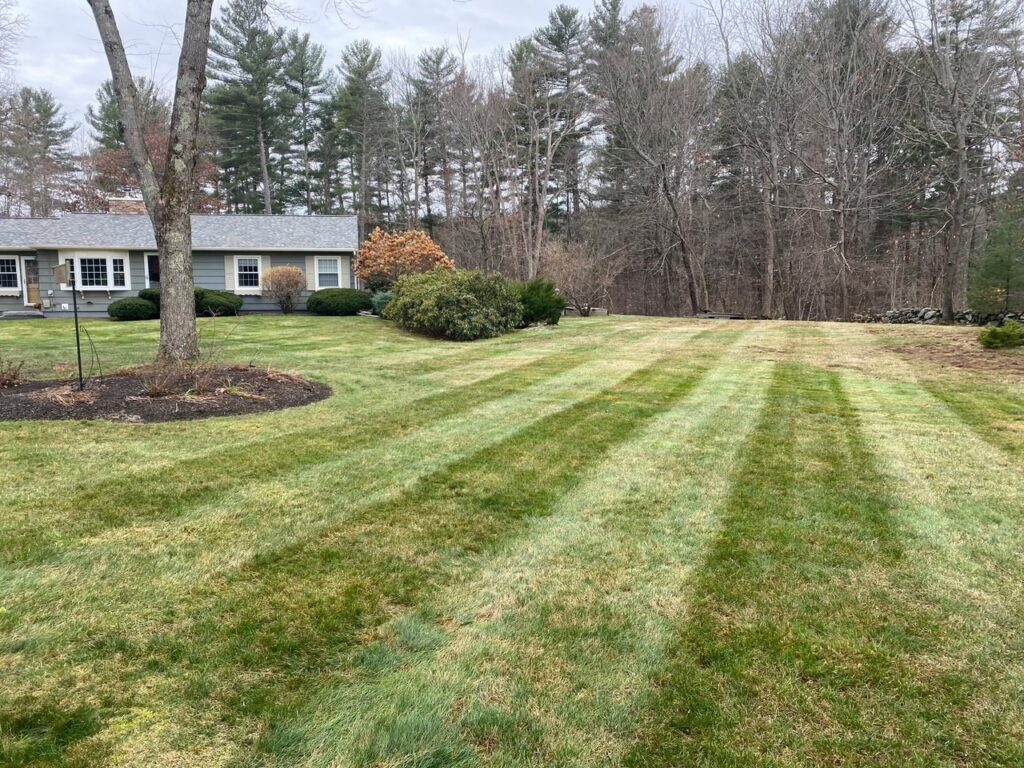 Fall Yard Cleanup in Windham, NH