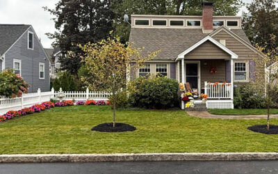 Lawn Installation in Manchester, NH