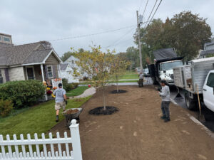 Lawn Installation in Manchester, NH