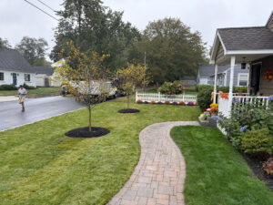 Lawn Installation in Manchester, NH