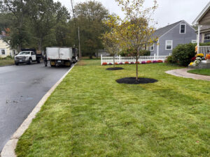 Lawn Installation in Manchester, NH