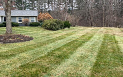 Fall Yard Cleanup in Windham, NH