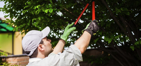 Tree Pruning