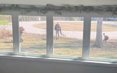 Spring Cleanup and Lawn Maintenance in Windham, NH